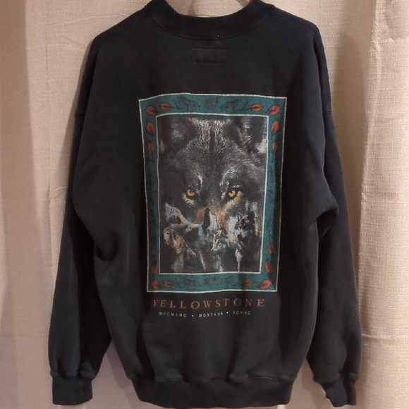 Abercrombie & Fitch Tops - Abercrombie Wolf Sweatshirt Crewneck